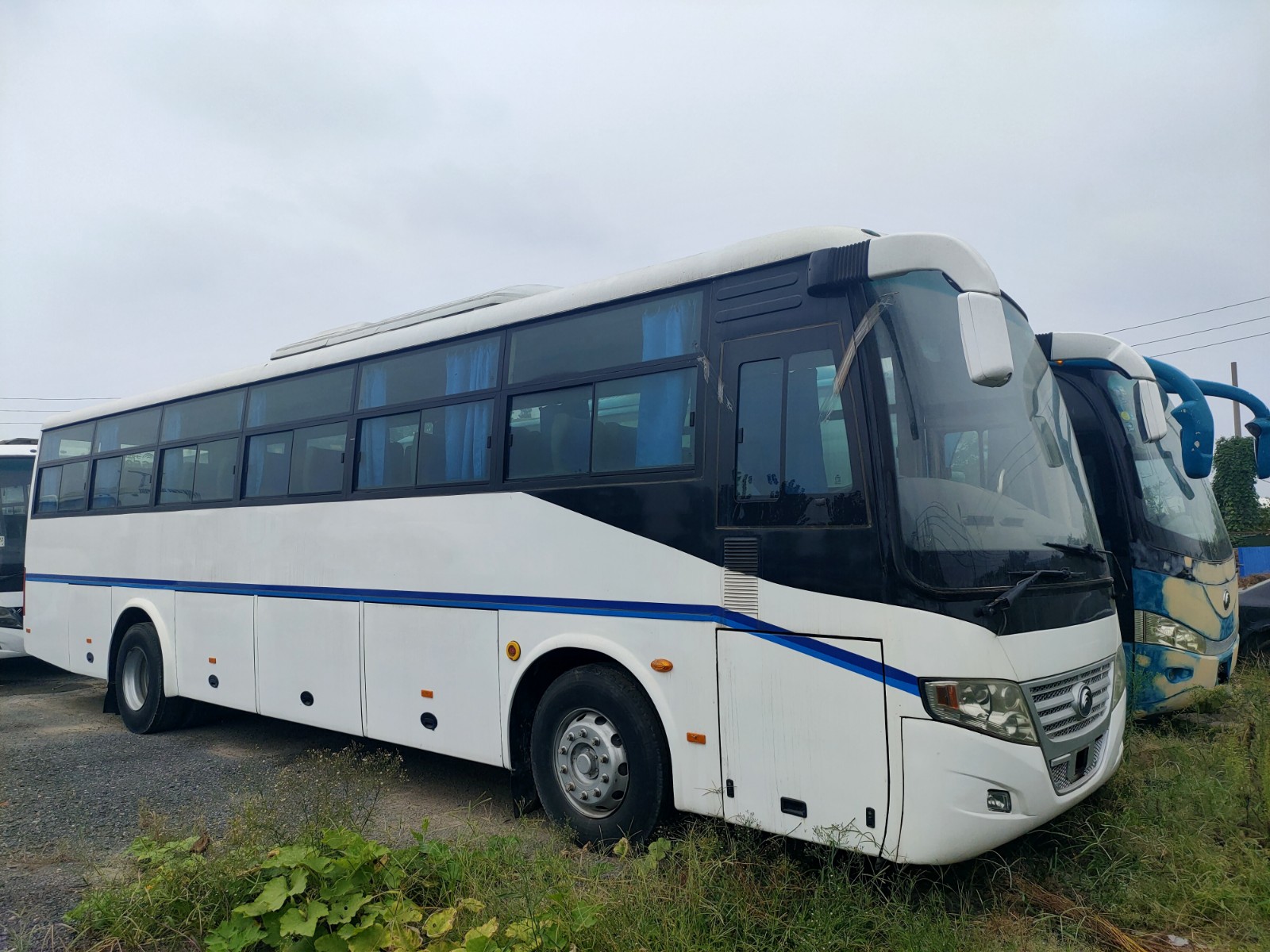 53 Seats 2012 Year Used Yutong Bus ZK6112D Diesel Engine RHD Driver Steering No Accident